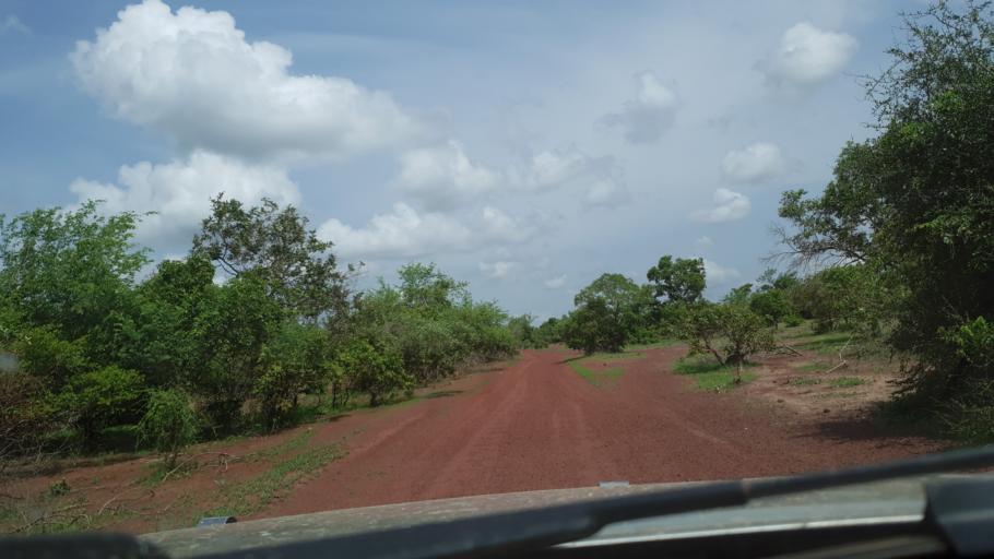 Image from Mali, from user kosanka